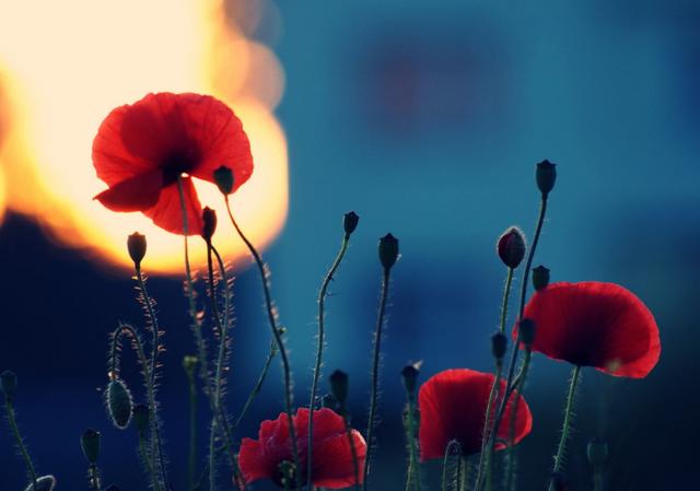 第六感很强的星座擅长读心,看人最准的三大星座精通读心术