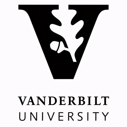 新常春藤大学,新常春藤