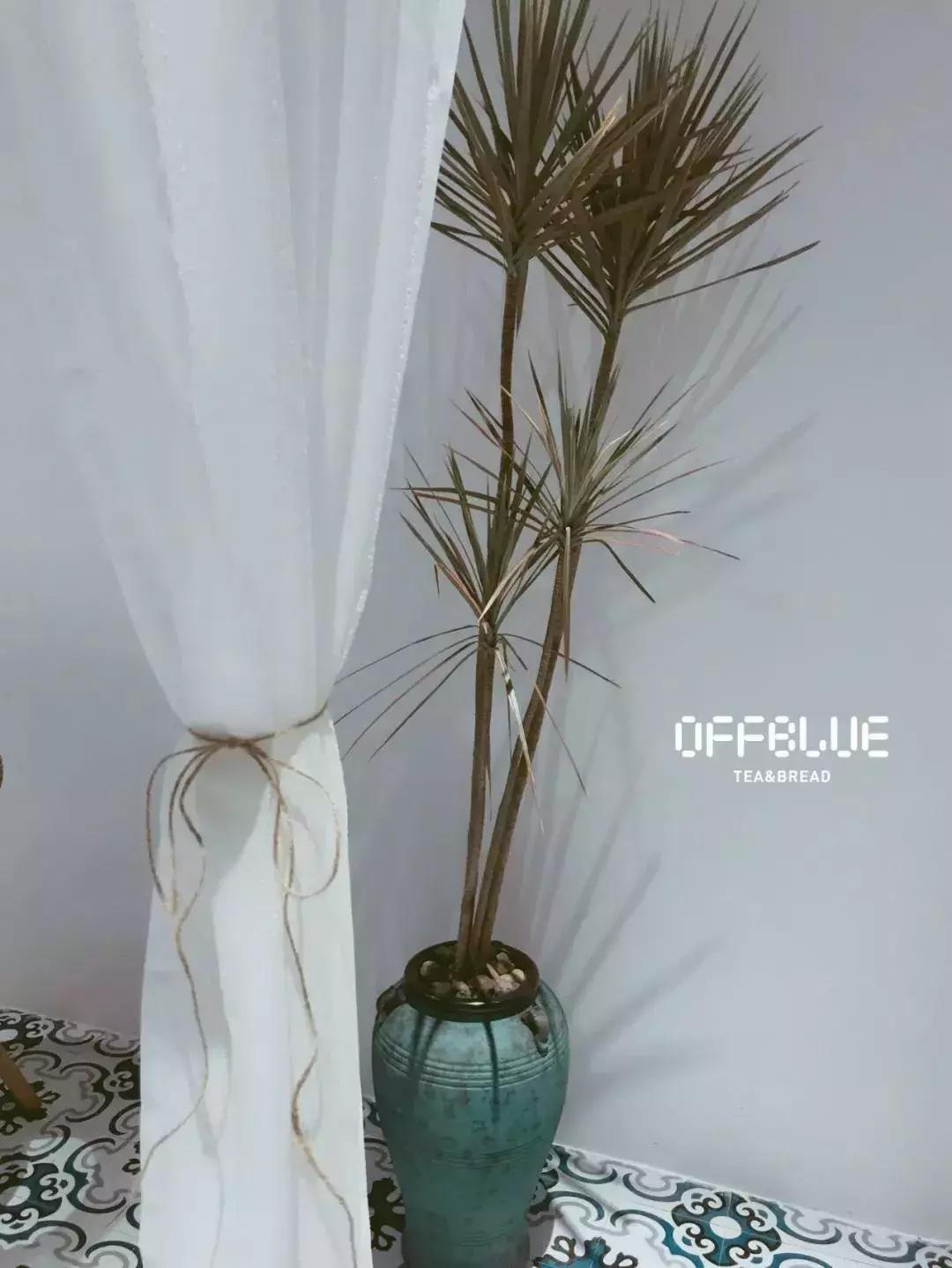 重庆目前最火爆的奶茶店,重庆最火爆的奶茶店