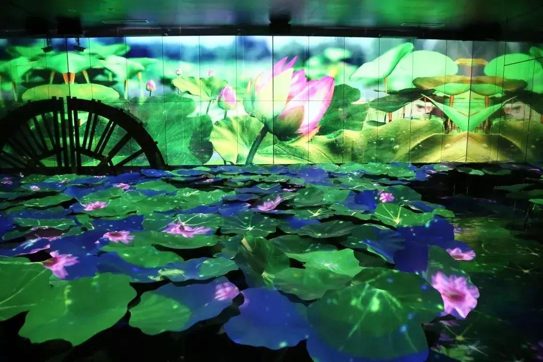 金湖荷花荡图片,金湖荷花荡介绍