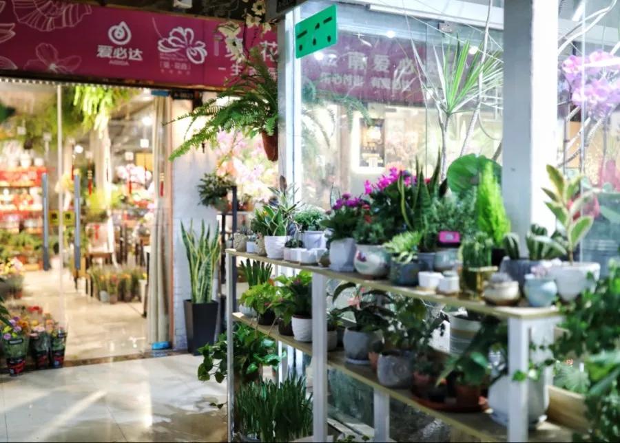 <html>
<head><title>502BadGateway</title></head>
<body>
<center><h1>502BadGateway</h1></center>
<hr><center>nginx</center>
</body>
</html>
<!--apaddingtodisableMSIEandChromefriendlyerrorpage-->
<!--apaddingtodisableMSIEandChromefriendlyerrorpage-->
<!--apaddingtodisableMSIEandChromefriendlyerrorpage-->
<!--apaddingtodisableMSIEandChromefriendlyerrorpage-->
<!--apaddingtodisableMSIEandChromefriendlyerrorpage-->
<!--apaddingtodisableMSIEandChromefriendlyerrorpage-->
