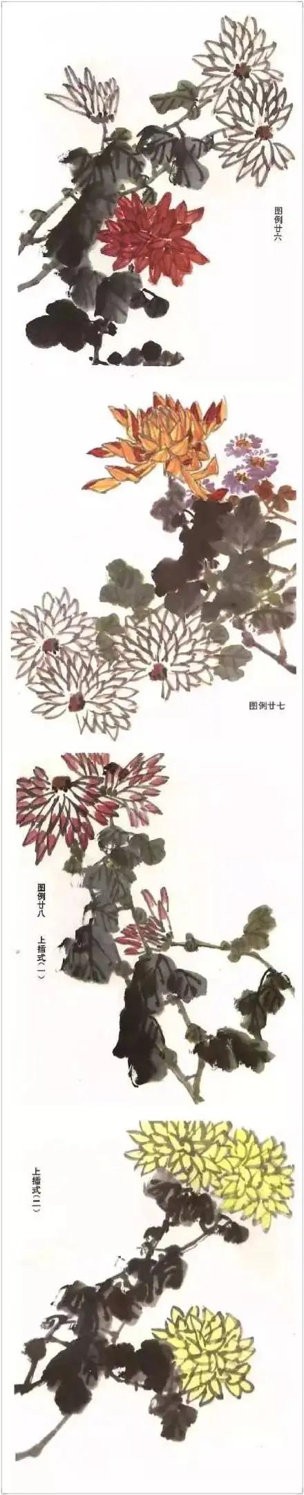 各种花卉的画法大全图片,各种花卉画法步骤图