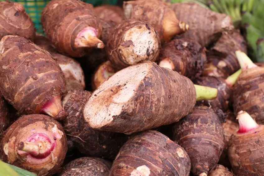 鍚冧簡杩欓亾鑿滆閫佸埌鍖婚櫌鎬ユ晳,鍚冧簡杩欓亾鑿滆閫佽繘icu鎶㈡晳