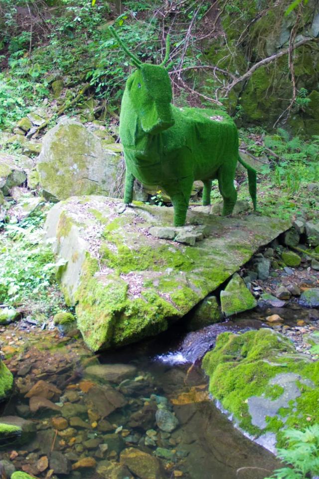 秦岭九天山,秦岭九天山图片大全