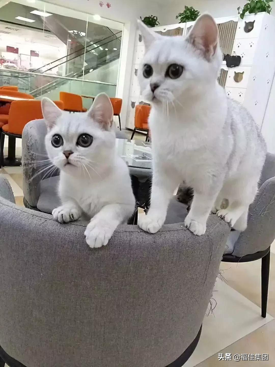 大连新年福利,大连福利新天地