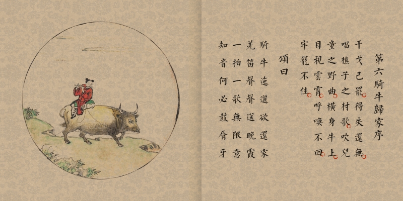 画说百年喜迎新春绘画,画说国学全套
