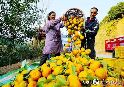 龙胜哪儿有好看的景区,广西的龙胜有什么好玩的