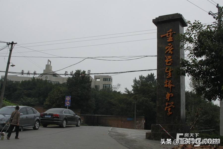 南岸初中学校排名2024,南岸区初中学校推荐