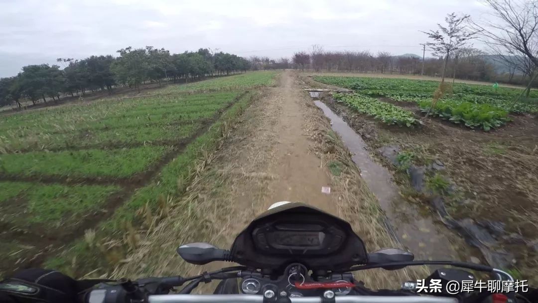 17款nk150极速,1万左右的nk150