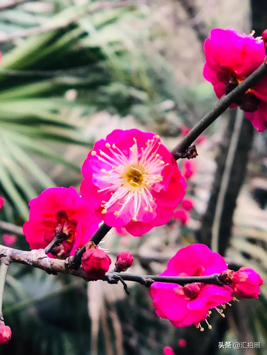 记住摄影口诀，轻松拍出好照片！