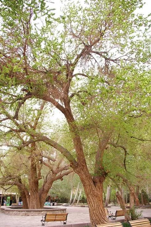疫情期间农场经营的建议,疫情下农场经营