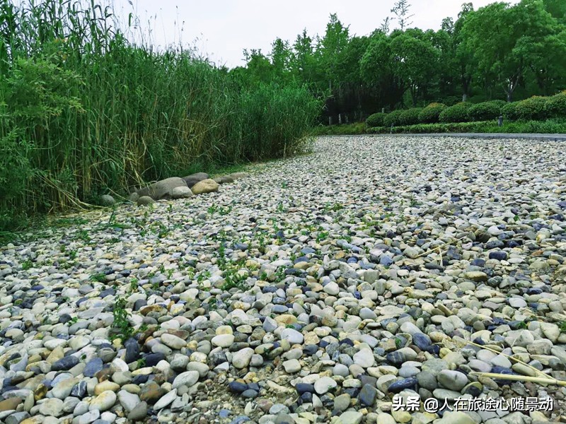 南京面积最大的公园，美不胜收却被游客忽略