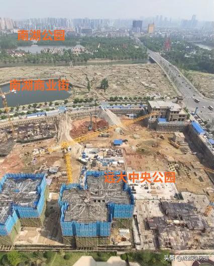从500人报名到中签率15.15%，南湖旁低调大盘为何越来越“香”？