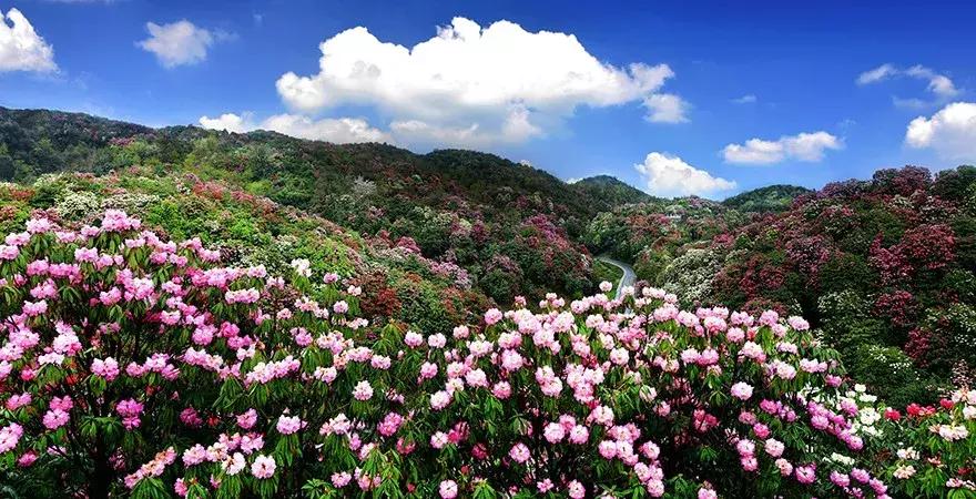 贵州60个重点景区名单,贵州5个风景区