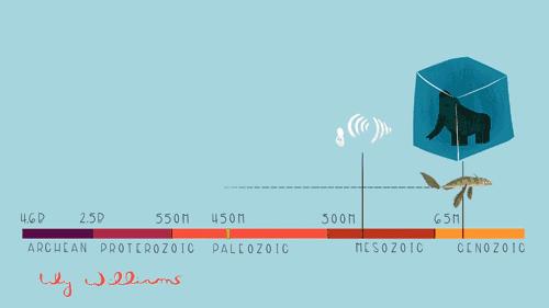 海洋中几乎无敌的大白鲨,真正的大白鲨和巨齿鲨的图片