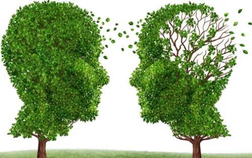 乙肝大三阳吃药抗病毒能治愈吗,乙肝大三阳抗病毒治疗多久能转阴