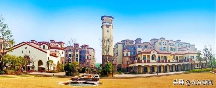 怎么选物业,最佳小区物业