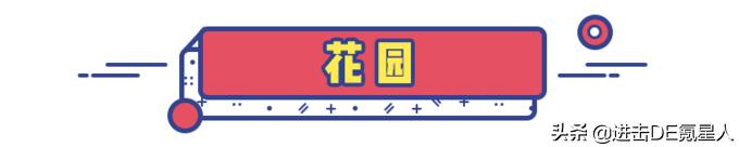 这10款小众纯牛奶，国货之光，我赌100包辣条，第一款你就没喝过