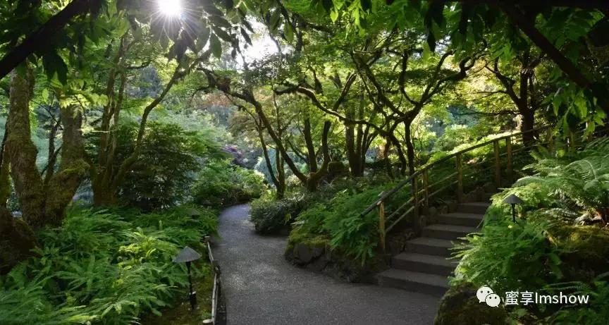 走进爱丽丝梦游仙境,爱丽丝梦游仙境绝美森林