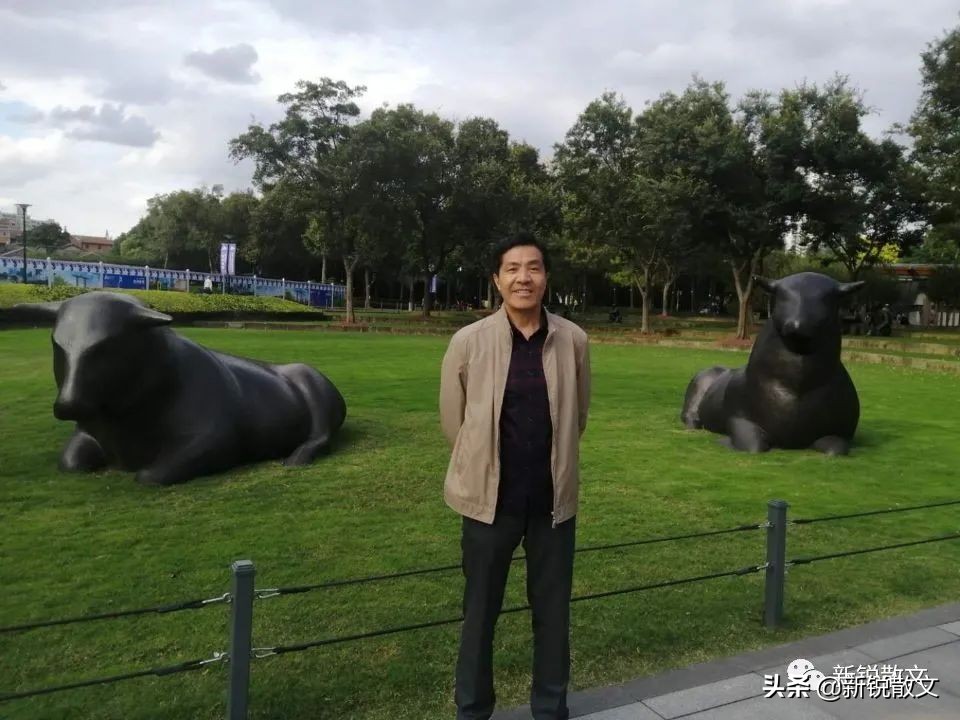 我的书屋的样子,我的书屋让生活更美好