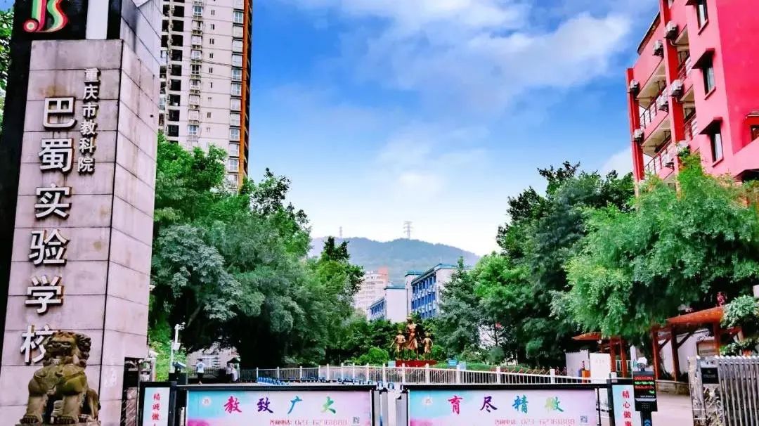 南岸区教育集团有哪些,南岸区小学汇总