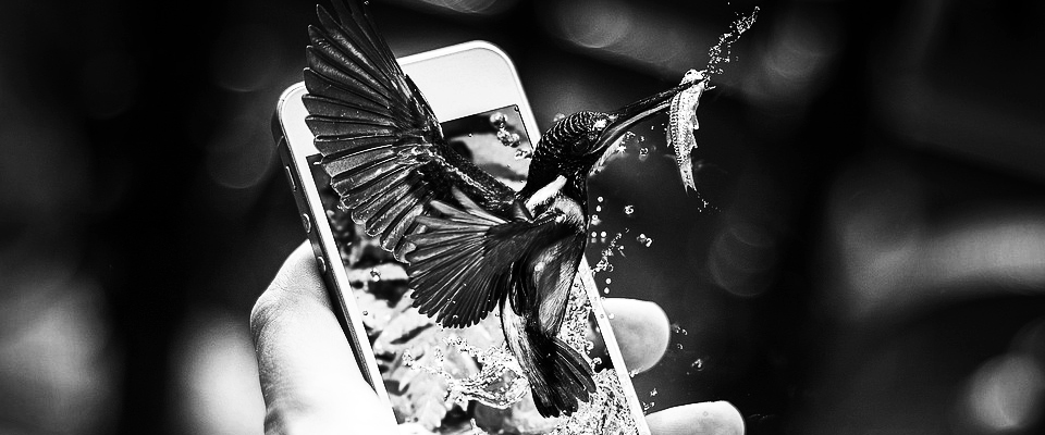 聚划算扣费查询,聚划算加权重吗