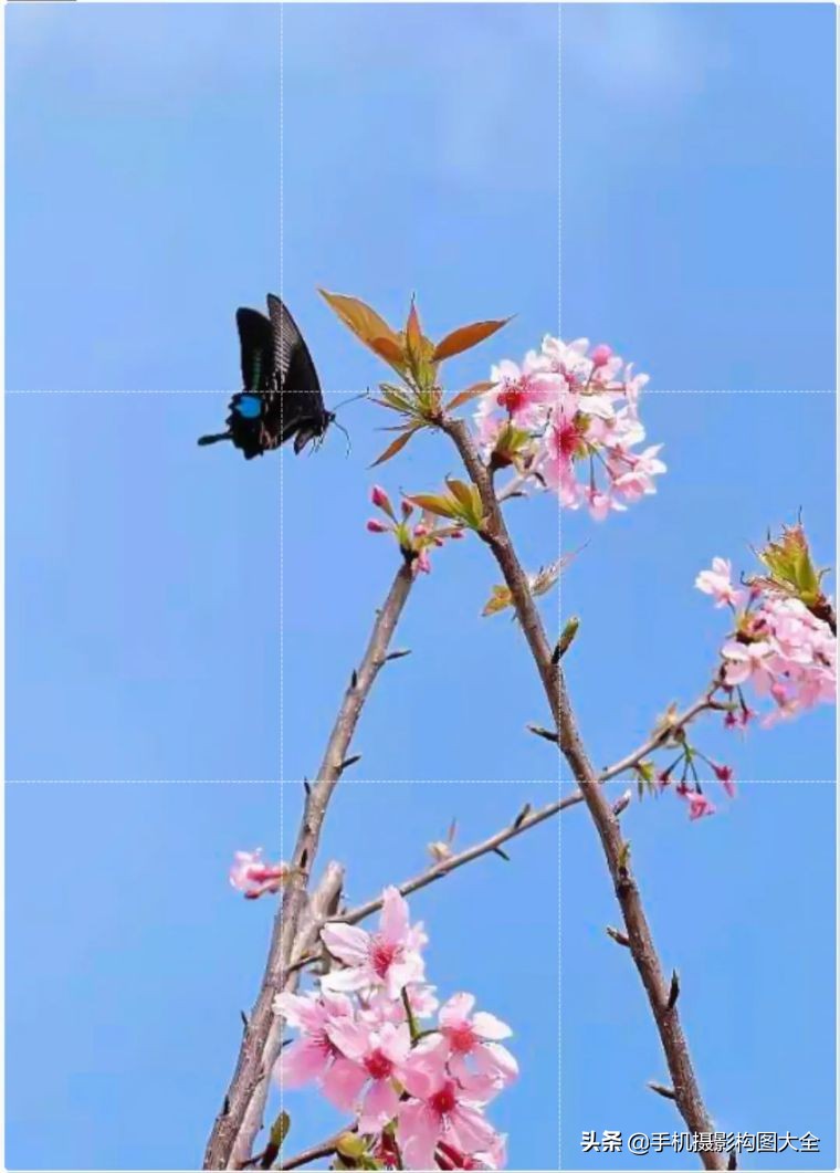 24-70拍人像使用技巧,24种手机拍摄技巧图片