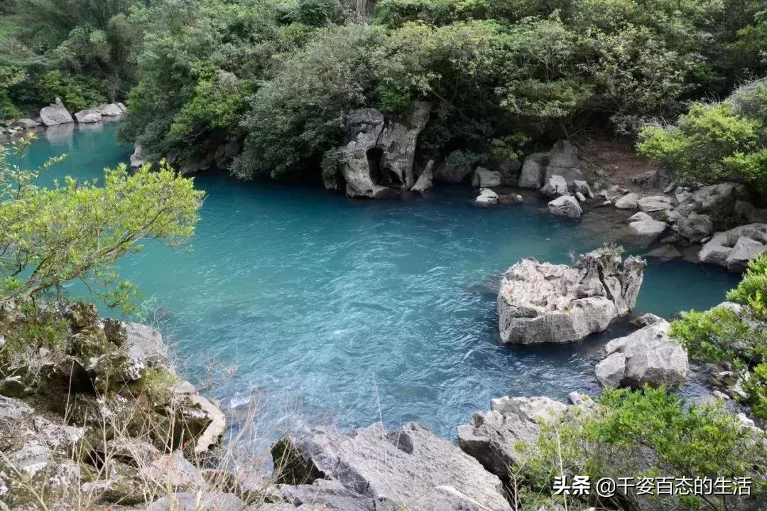 广西低调小城竟然藏了个小奈良,广西有座低调的养老小城