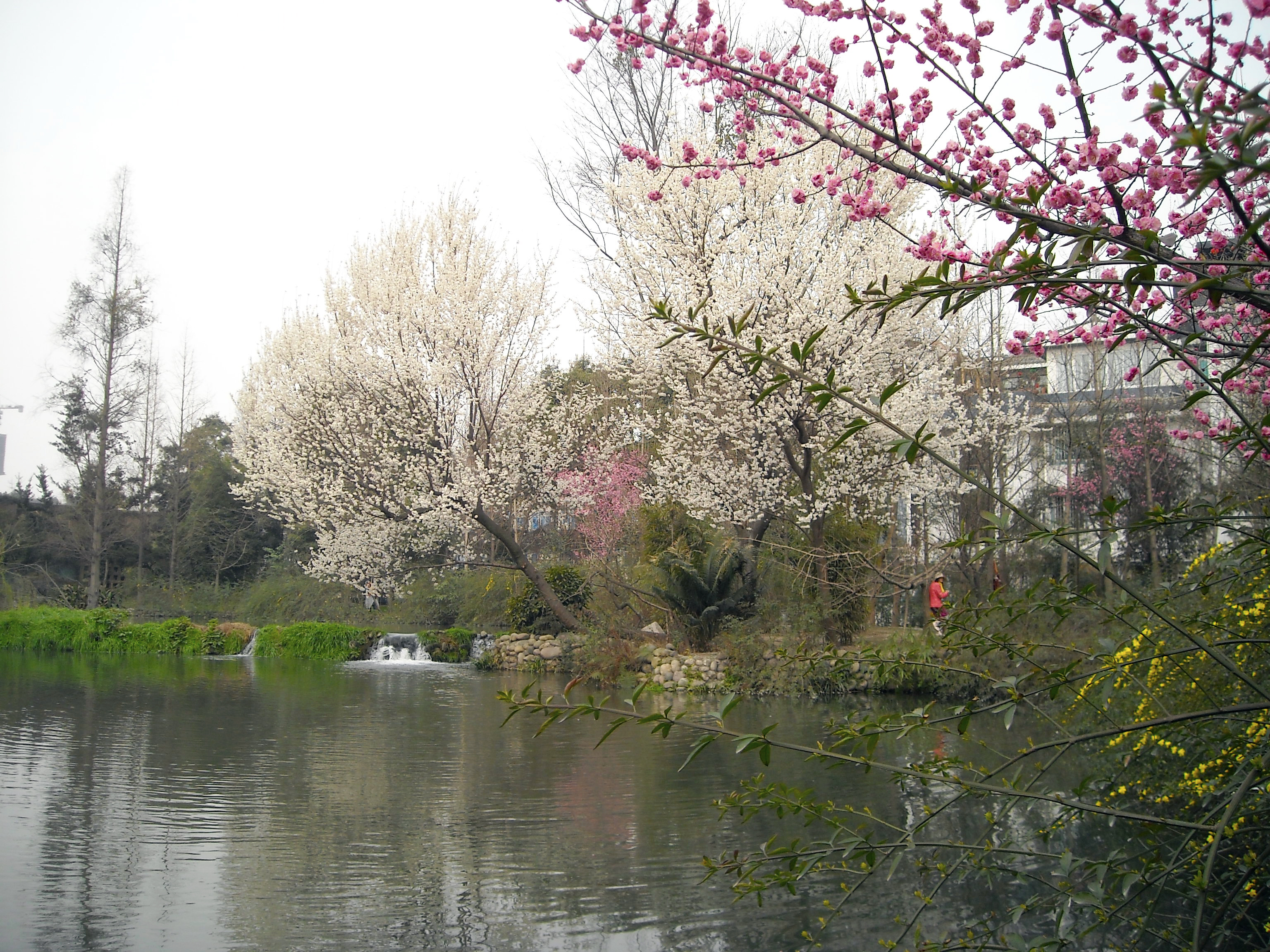 成都杜甫草堂一日游,到成都必须玩的景点是哪几个