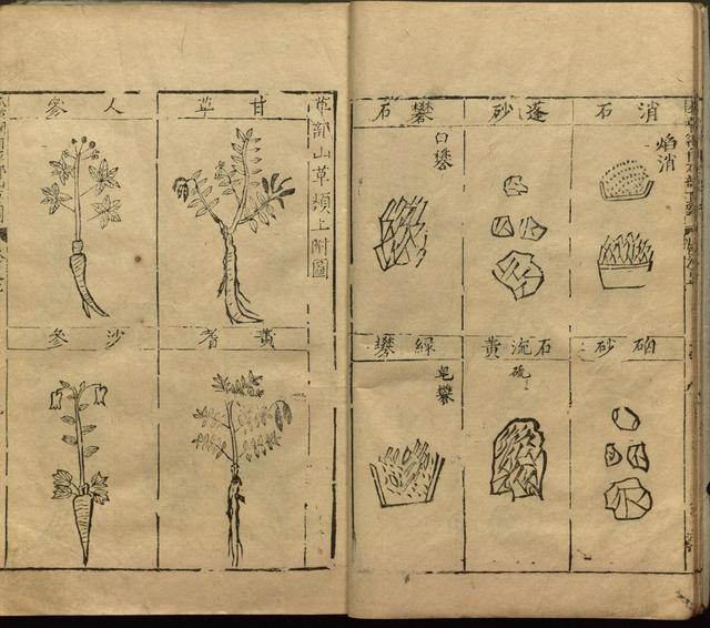 李时珍与本草纲目ppt课件,神农本草经正版李时珍书籍