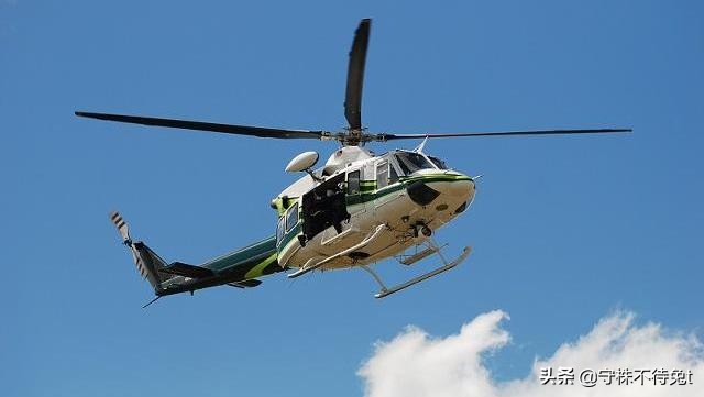 蜜獾面对三只狮子毫不畏惧,蜜獾是不是连狮子和老虎都不怕