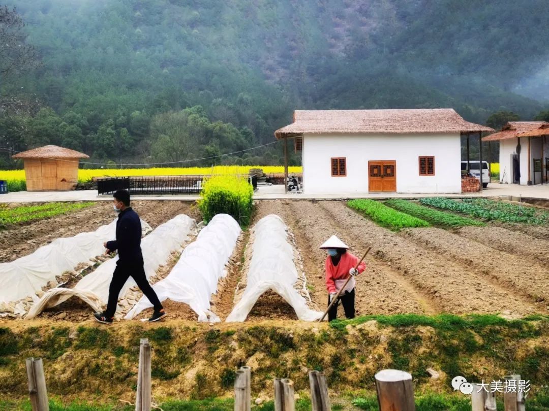 2020疫情征文,2020新冠征文