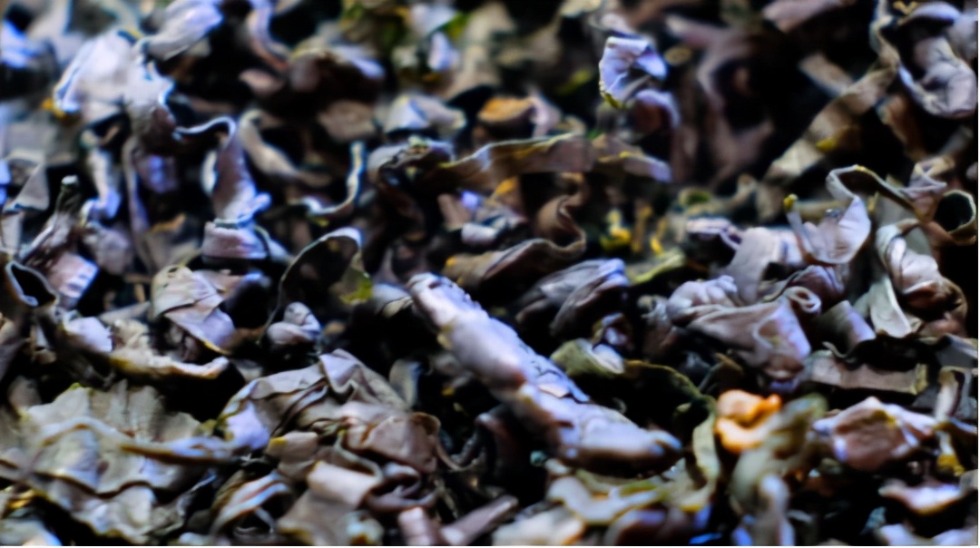 美丽云南第三季纪录片,美丽云南第二季合集