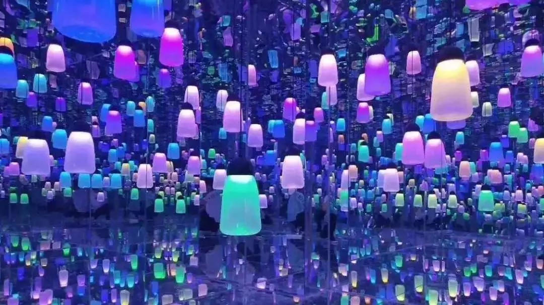 奇迹花园花展,上海奇迹花园花展门票