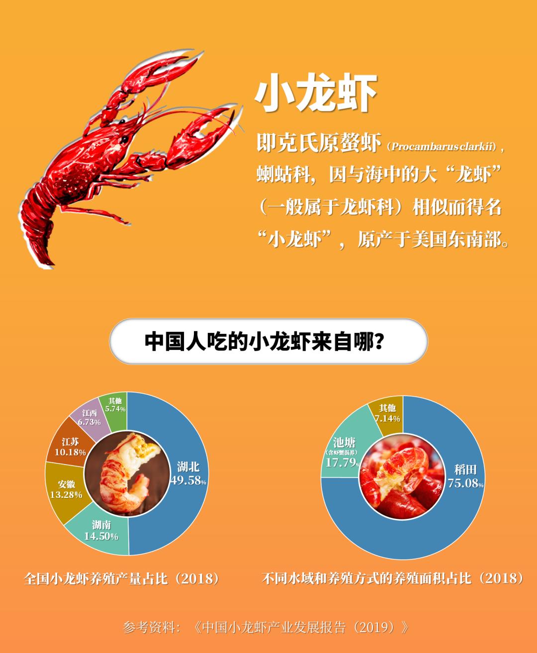 夏天吃小龙虾是一件很幸福的事,夏天吃小龙虾配啤酒好吗