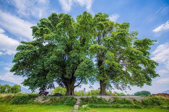 洱海旅游景点攻略,西安洱海旅游攻略必去景点