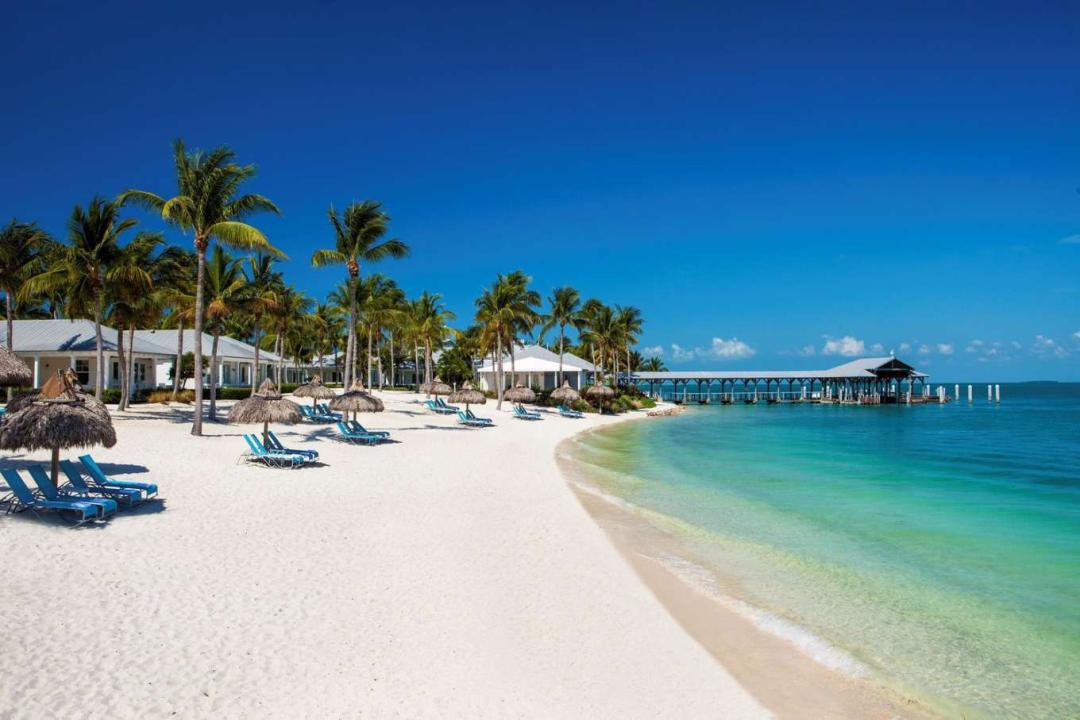 鎬庢牱涔颁竴搴ф棤浜哄矝,鐪熷疄鐨勬棤浜哄矝