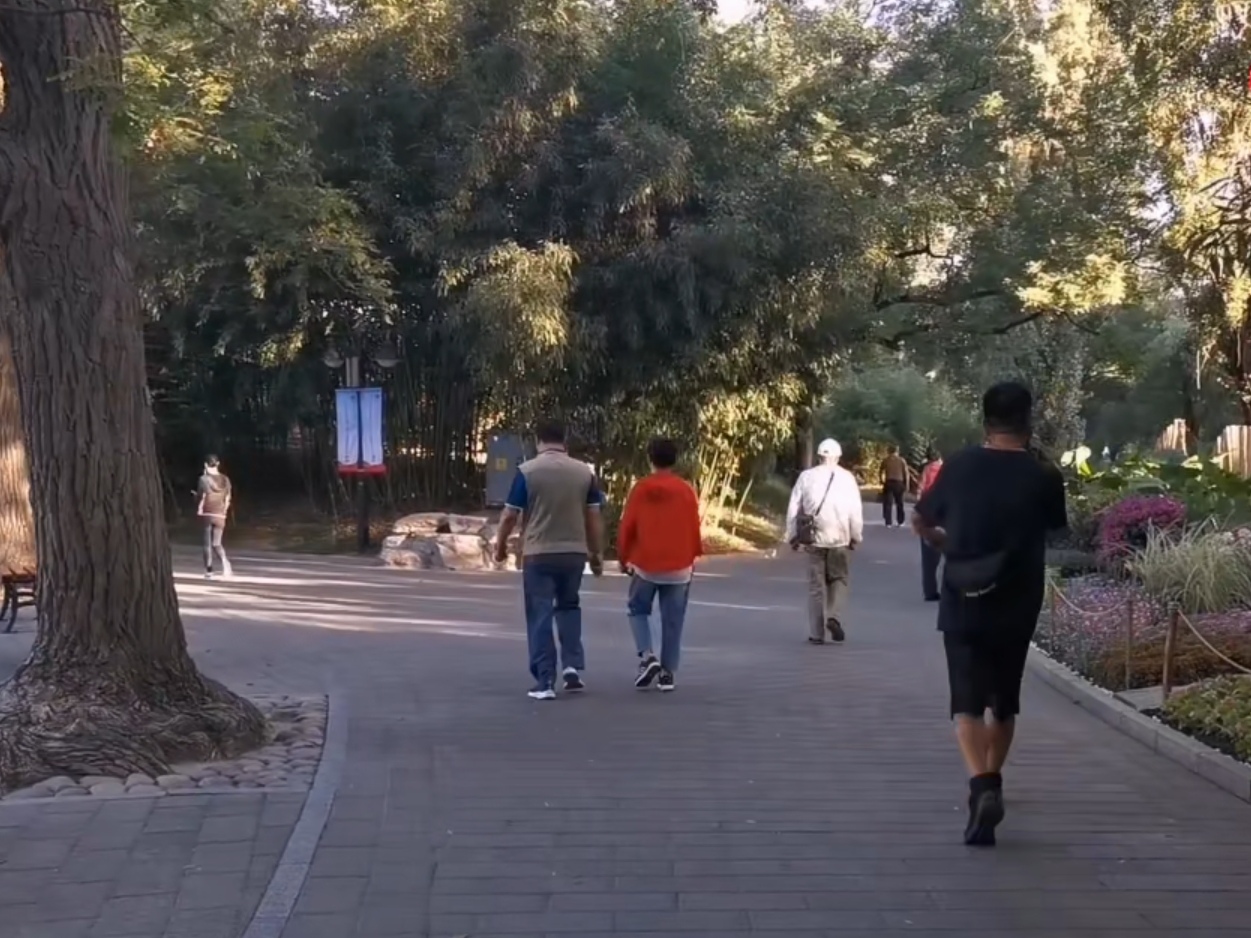 紫竹院公园湖边漫步随拍荷花美景,紫竹院公园荷花