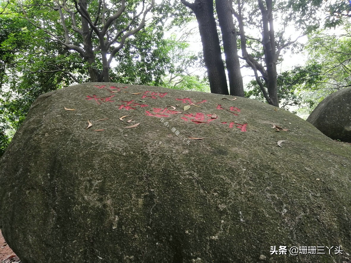 广州有座像老虎的山,广州有一座山是圆形的