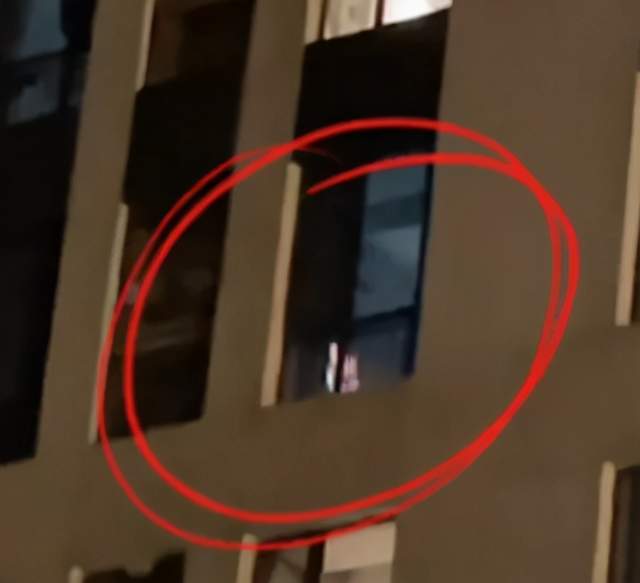 中国游泳队奥运名单公布！叶诗文、傅园慧遗憾落选【三分钟法治新闻全知道】