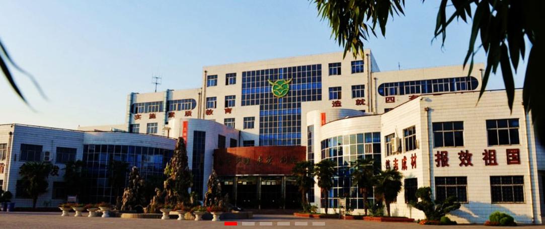 郑州市比较一般的中学有哪些,郑州中学分布图