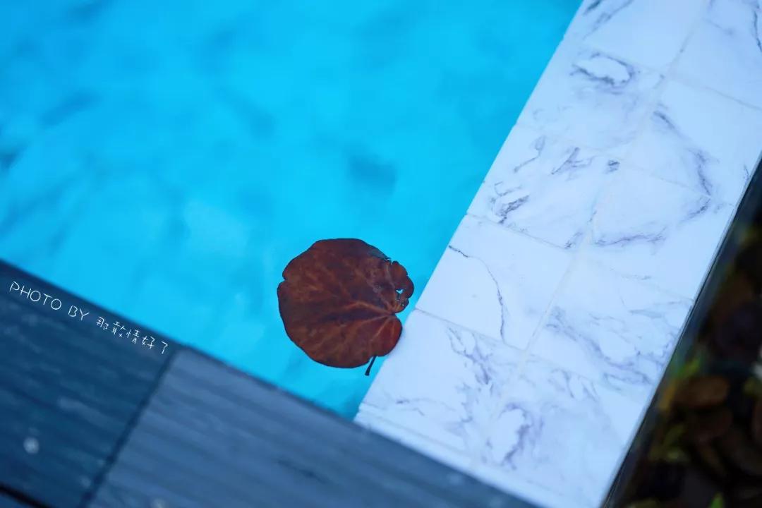 苏梅岛南查汶海滩因皮亚纳度假村,七天海岛度假游攻略