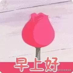 早上好的问候语唯美图片带鲜花,超美的早上好图片问候语图文