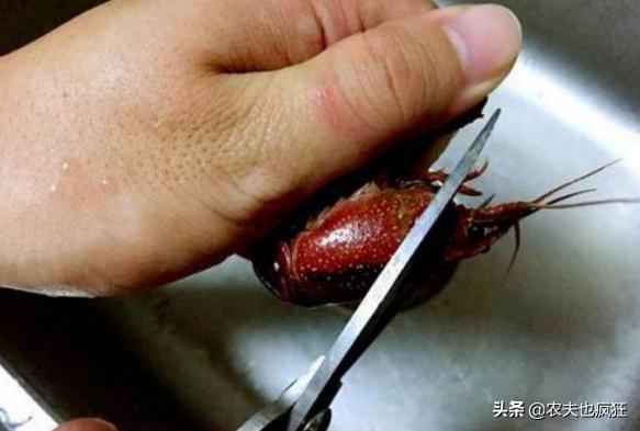 清洗小龙虾最干净的方法,清洗小龙虾简单干净好吃