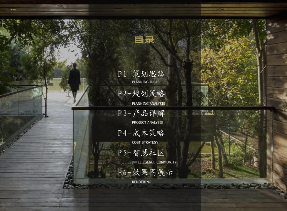 豪宅属性,规划逻辑景观高利用,地块和肌理,底TOWN户型