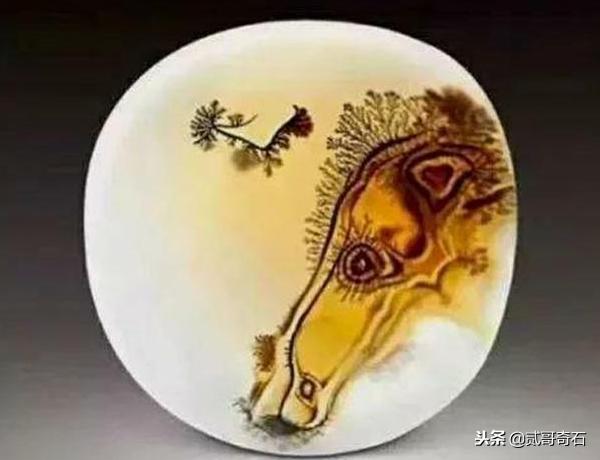 海洋玉髓和玛瑙哪个更值钱,玛瑙海洋玉髓值钱吗