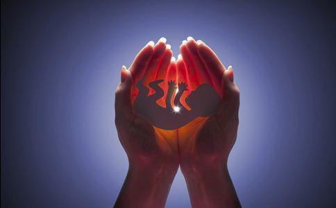 人类胚胎1到40天的发育过程,从胚胎到出生的奇妙之旅