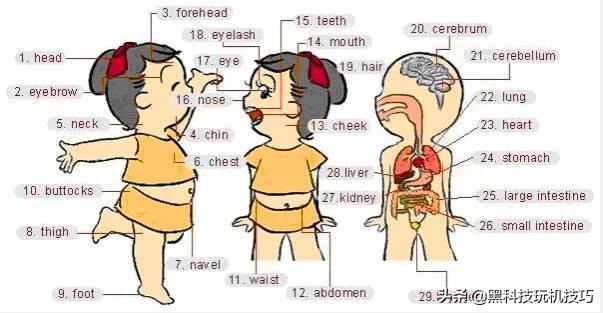 高频英语单词快速记忆口诀,18张图一网打尽英语生活常用词