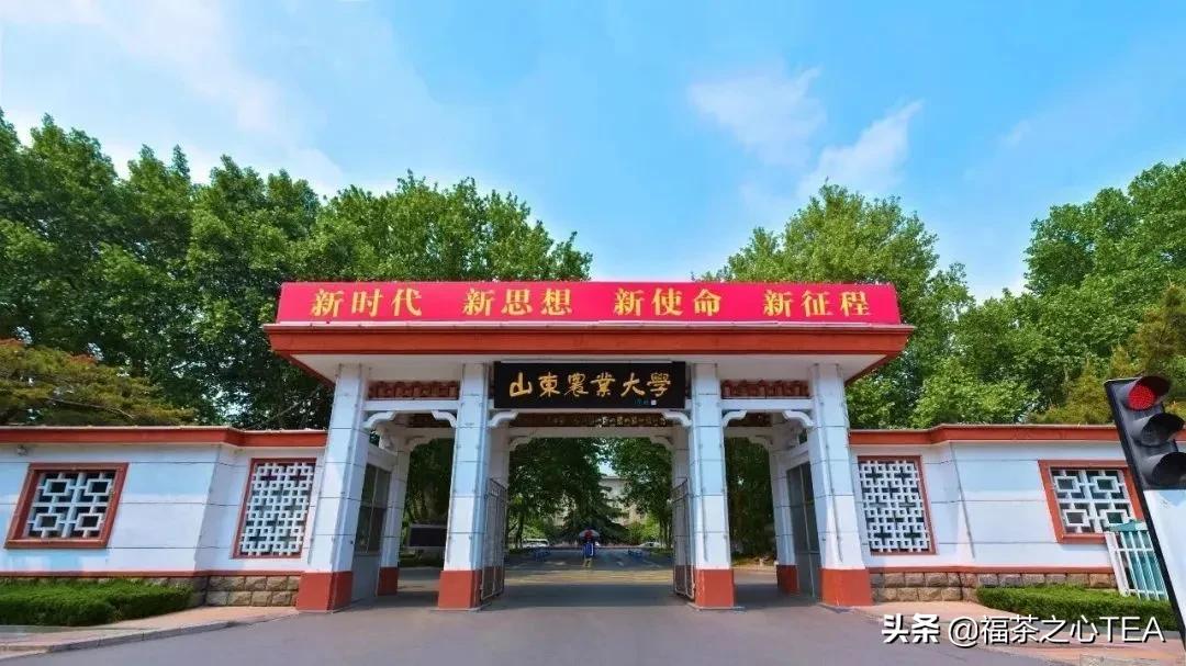 湖南农业大学茶学专业怎么样,广西有哪些高校开设茶学