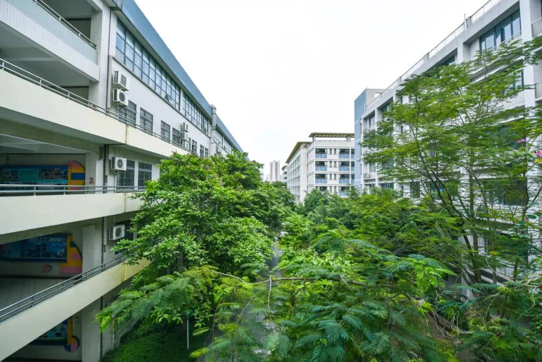 魅力校园广东,魅力校园石埠桥学校